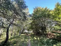 Dražba louky, Vsetín, 3055 m2