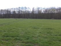 Prodej pole, Tachov, 23048 m2