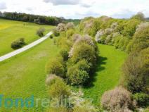 Prodej pole, Žďár, 7270 m2