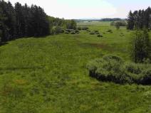 Prodej pozemku, Jílovice, 20535 m2