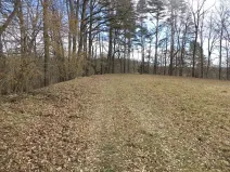 Dražba louky, Novosedly nad Nežárkou, 6591 m2