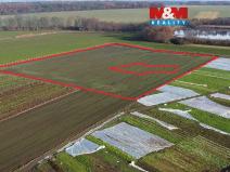 Prodej pole, Nové Dvory, 9979 m2