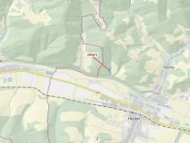 Dražba lesa, Hovězí, 2626 m2