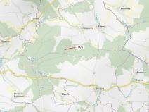 Dražba lesa, Psárov, 2949 m2