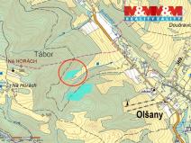 Prodej lesa, Olšany, 8828 m2