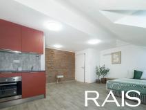 Pronájem bytu 1+kk, Brno, Bašty, 39 m2