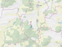 Dražba lesa, Kuřimany, 10437 m2