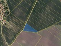 Prodej pole, Nesvačilka, 75595 m2