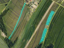 Prodej zahrady, Maršov, 31902 m2