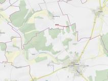 Dražba lesa, Koloveč, 703 m2