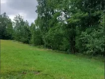 Prodej lesa, Dubovice, 1386 m2
