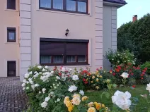 Prodej vily, Svárov, Ptická, 326 m2