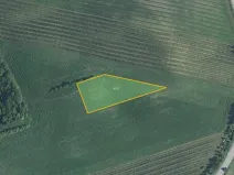 Prodej pole, Hovorany, 3948 m2