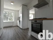 Pronájem bytu 2+1, Karlovy Vary, Slovanská, 54 m2