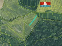 Prodej pole, Radkovice, 2942 m2