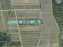 Prodej sadu/vinice, Dolní Kounice, 1926 m2