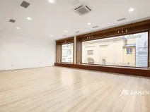 Pronájem obchodního prostoru, Brno, Masarykova, 176 m2