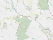 Dražba lesa, Loukovice, 7796 m2