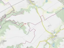 Dražba lesa, Náměšť nad Oslavou, 931 m2