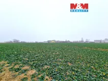 Prodej pozemku pro bydlení, Štěpánkovice, 5343 m2