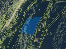 Prodej louky, Velké Losiny, 2449 m2