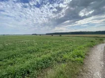 Prodej pole, Lomnice nad Lužnicí, 16506 m2