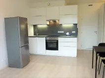 Pronájem bytu 1+kk, Praha - Hodkovičky, Šífařská, 34 m2