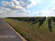 Prodej pole, Čejkovice, 25676 m2