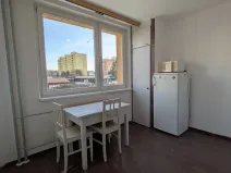 Pronájem bytu 1+1, Brno, Palackého třída, 36 m2