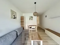 Pronájem bytu 1+kk, Brno, Husovická, 40 m2