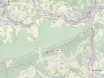 Dražba lesa, Velké Hamry, 6125 m2