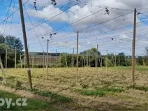 Dražba sadu/vinice, Lišany, 24161 m2