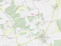 Dražba lesa, Koloveč, 703 m2