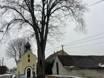 Prodej rodinného domu, Přešťovice, 90 m2