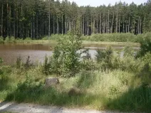 Pronájem rybníku, Sklené nad Oslavou, 10645 m2