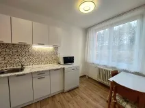Pronájem bytu 1+1, Brno - Bohunice, Okrouhlá, 45 m2