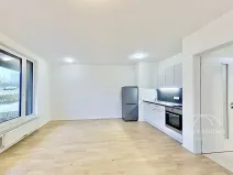 Pronájem bytu 1+kk, Praha - Hlubočepy, Wassermannova, 34 m2