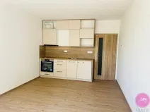 Pronájem bytu 1+kk, Olomouc, Frištenského, 32 m2