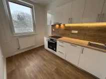 Pronájem bytu 2+1, Paskov, Papírenská, 45 m2