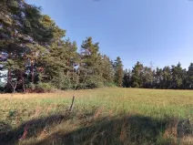 Dražba louky, Nihošovice, 1236 m2