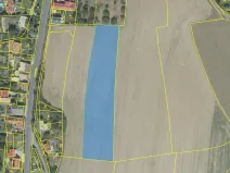 Prodej podílu pole, Přišimasy, 6312 m2