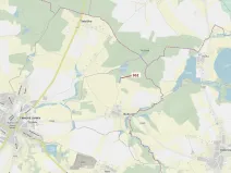 Dražba lesa, Trhové Sviny, 2498 m2