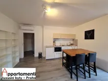 Pronájem bytu 2+kk, Praha - Vinohrady, Na Švihance, 73 m2