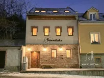 Pronájem ubytování, Valtice, Josefská, 251 m2