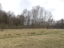 Dražba louky, Chlum u Třeboně, 6727 m2