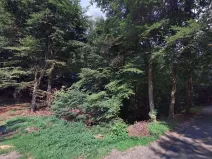 Prodej lesa, Hartinkov, 8121 m2