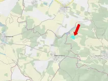 Prodej lesa, Pačejov, 15990 m2