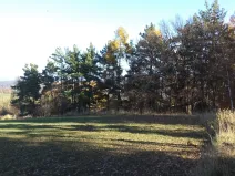 Dražba louky, Prostějovičky, 13211 m2