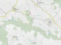 Dražba lesa, Dolní Vilémovice, 1957 m2