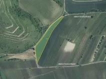 Prodej pole, Dolní Dunajovice, 9912 m2